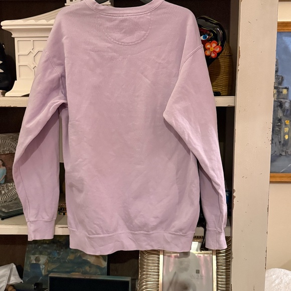 the Lost Bros lavender figment imagination institue epcot sweatshirt large L - Picture 5 of 5
